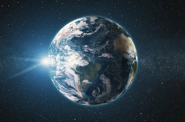 Sustainability: 5 Tips on How to Live More Responsibly